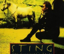 Перевод слов песен Sting Shape of my heart и Desert Rose
